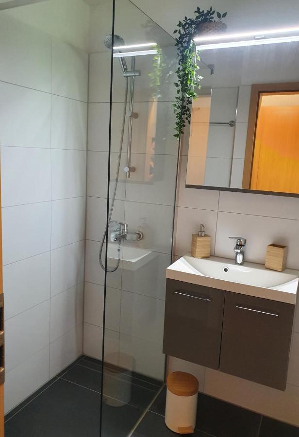 Modernisierte Ferienwohnung Naturseelen Mit Schwimmbad Und Sauna Braunlage Exterior photo